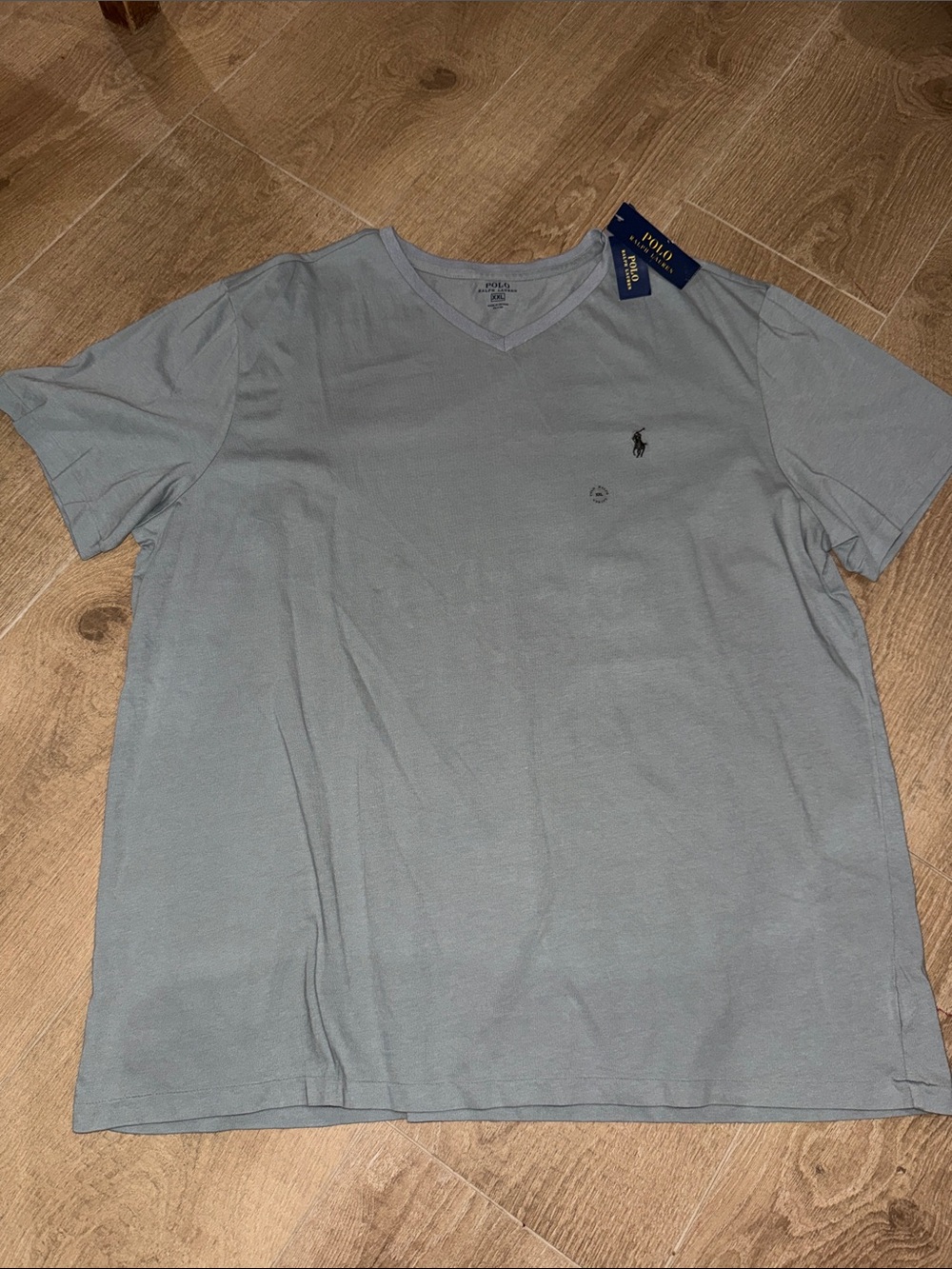 NWT Polo by Ralph Lauren Short-Sleeve V-Neck Tee in Pale Blue